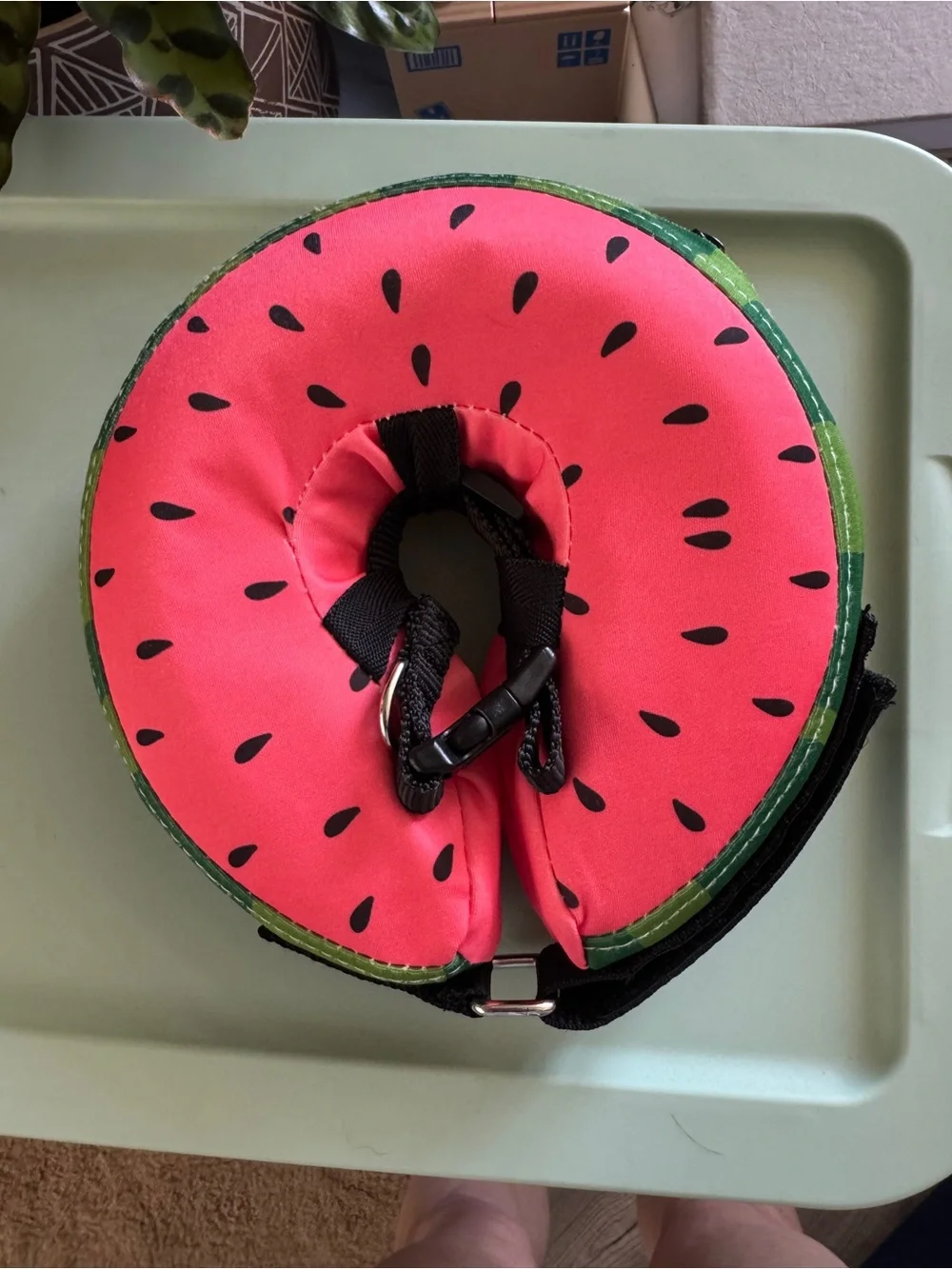 MIDOG Watermelon Inflatable Pet Soft Cone Collar Size XS